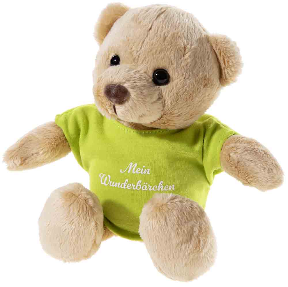 Wunderbärchen Teddy Bär mit Shirt 23cm