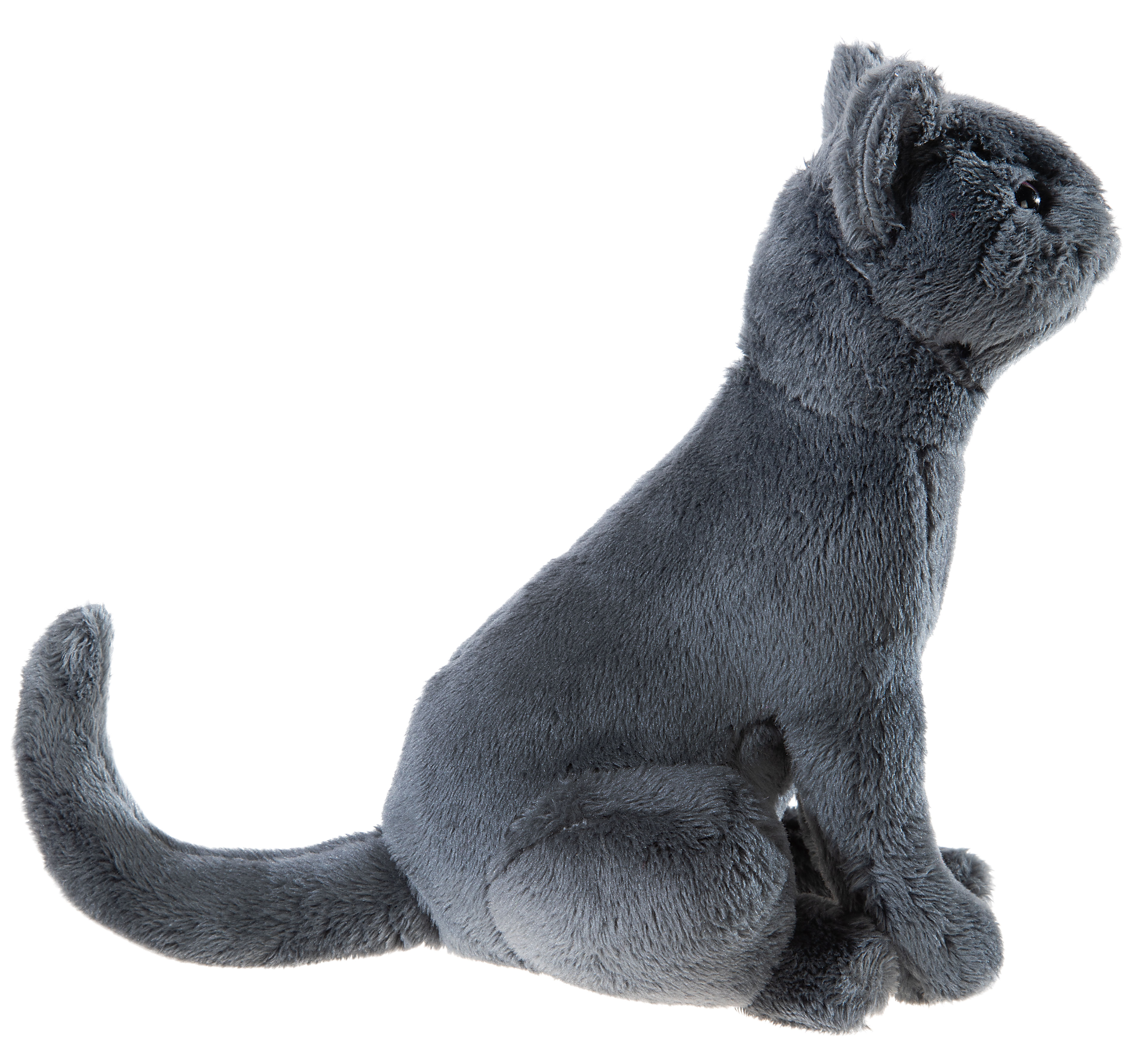Kater "Karajan" Schule der magischen Tiere 18cm