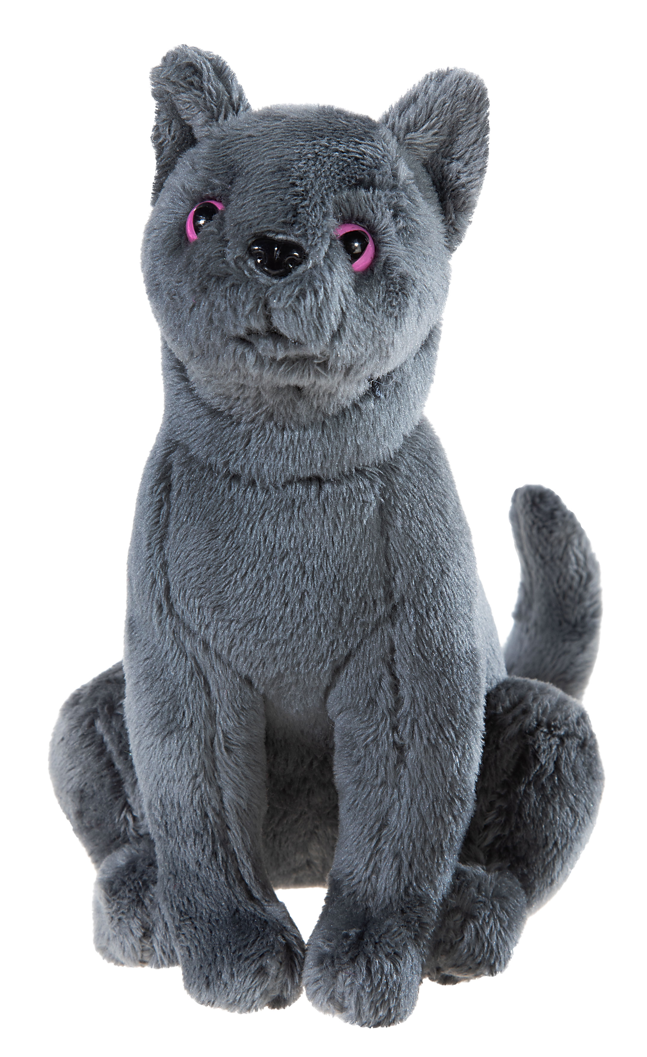 Kater "Karajan" Schule der magischen Tiere 18cm