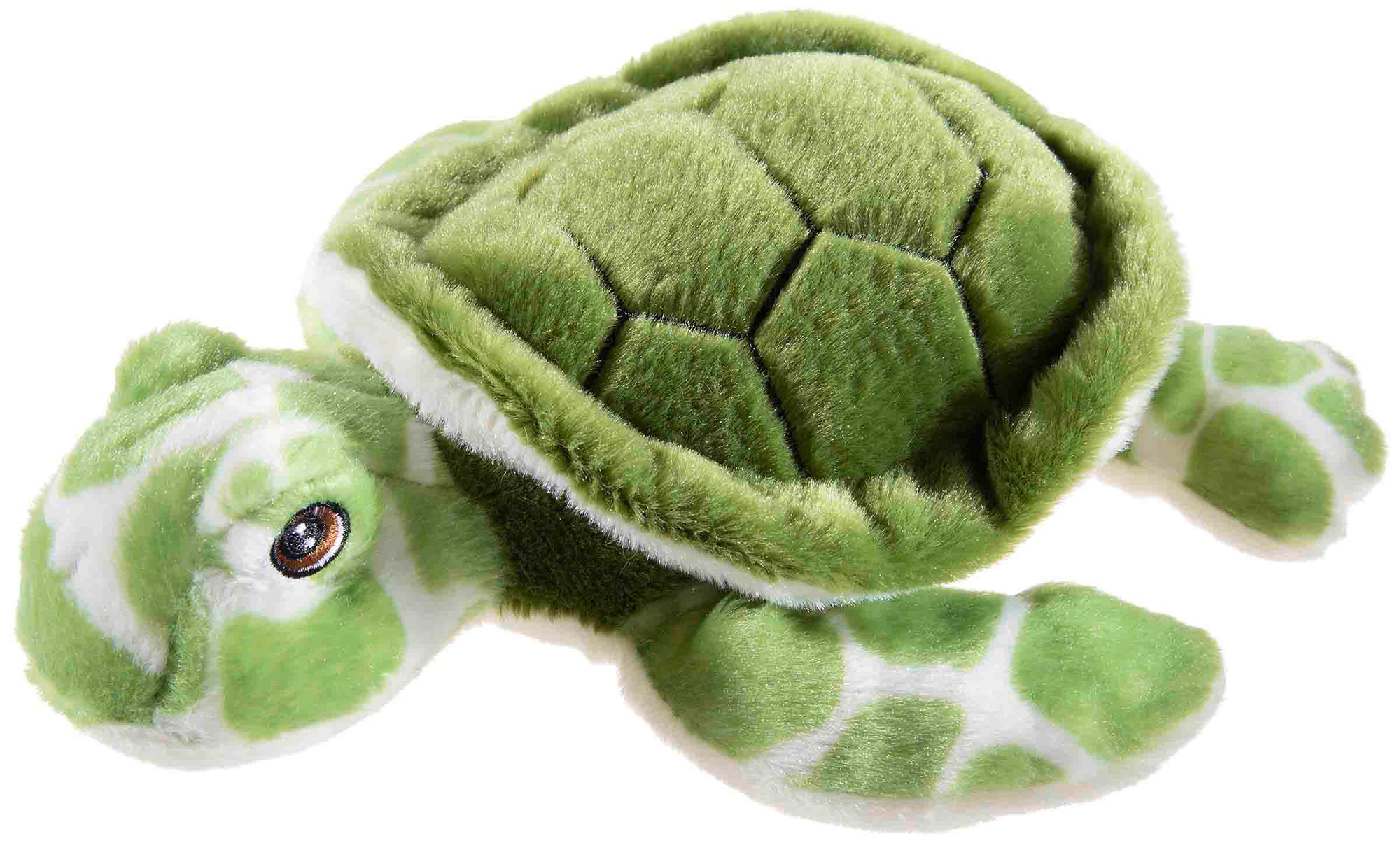 Bottle 2 Buddy Schildkröte grün 24cm GRS PET