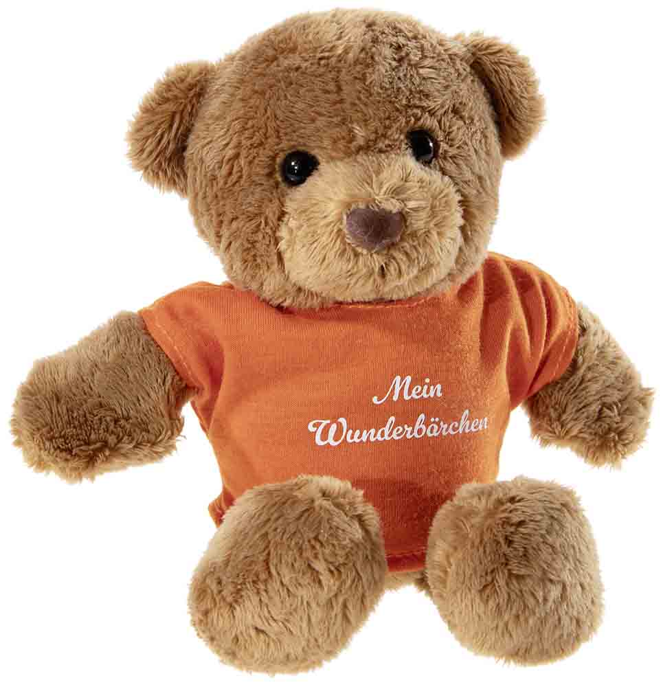 Wunderbärchen Teddy Bär mit Shirt 23cm