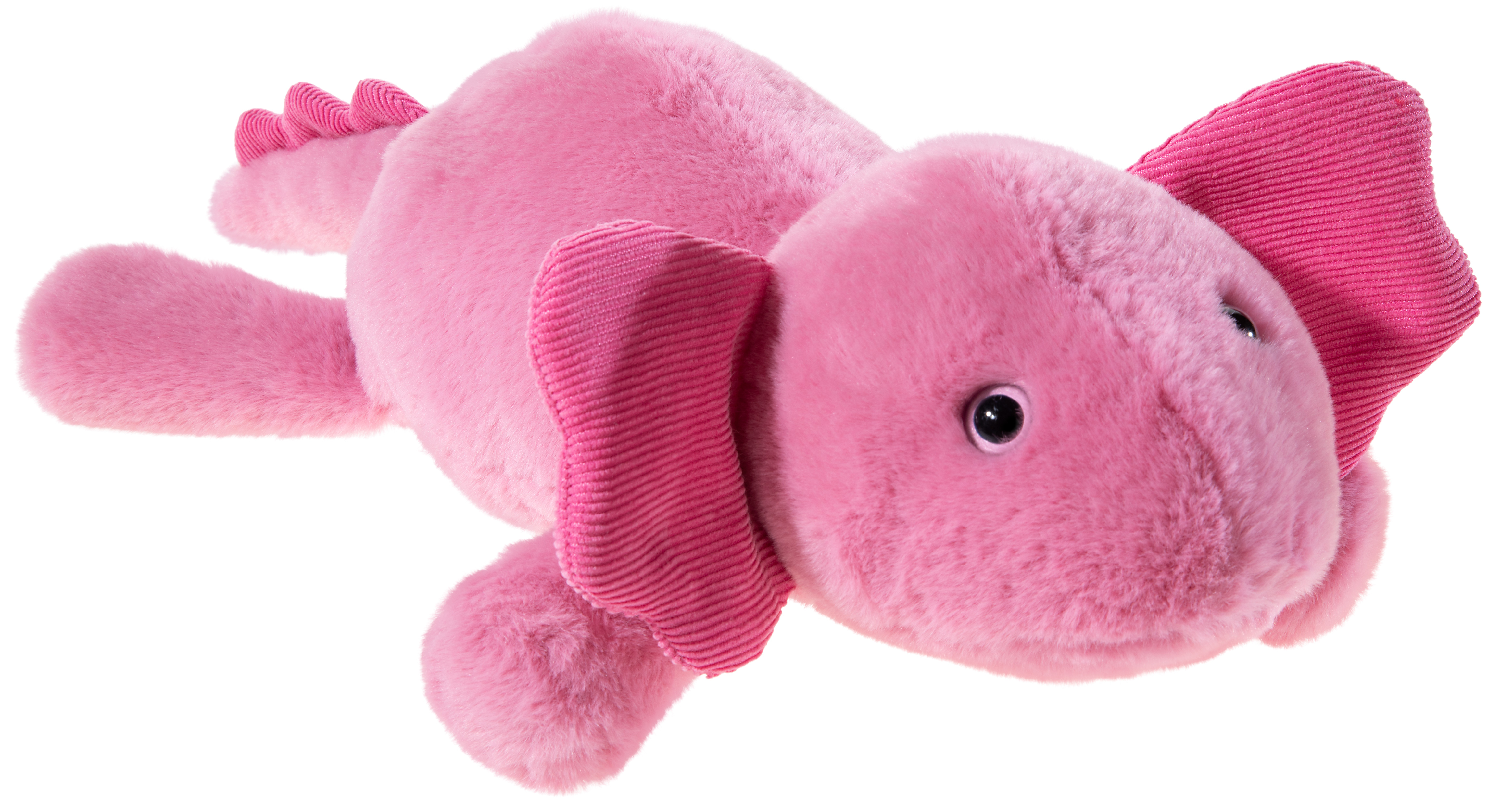 Axolotl liegend 45cm